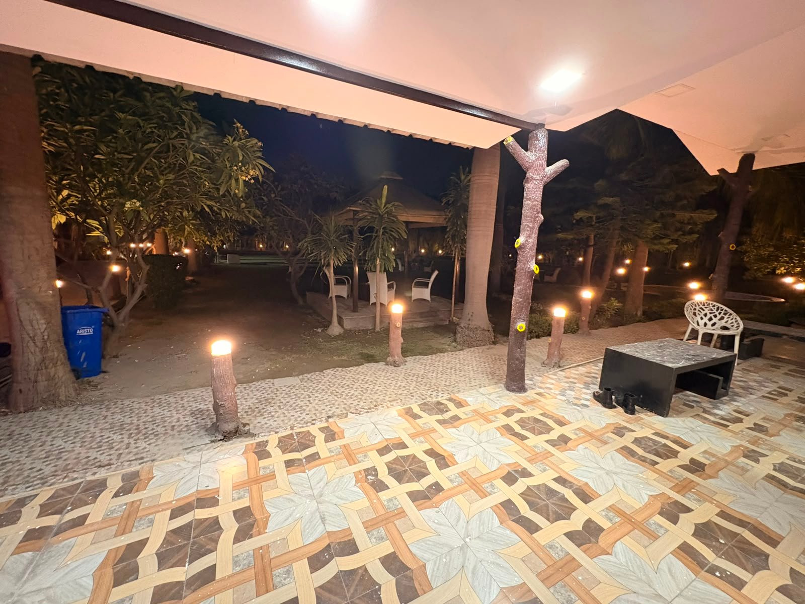 Evening garden at TAG Farm